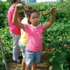 江西网友20116