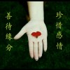 西藏网友88211