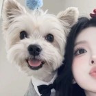 QQ头像