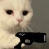 评论头像