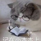 QQ头像