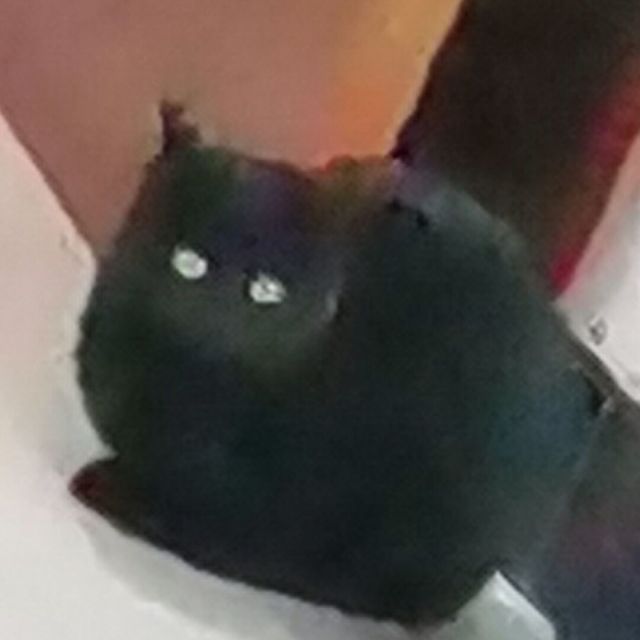 QQ邮箱头像
