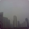 湖北网友75198