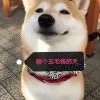 广西网友39723