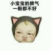浙江网友55239