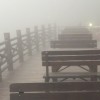 江西网友66128