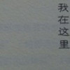 四川网友37144