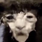 QQ头像