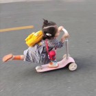 QQ头像