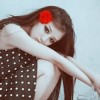 辽宁网友40681