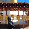 山东网友20703