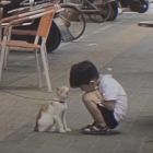 QQ头像