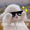 海南网友78992