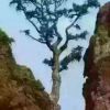 吉林网友37710