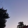 天津网友56718