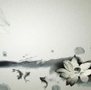 内蒙古网友33982