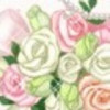 新疆网友78849