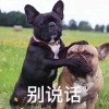 湖北网友25551