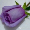 云南网友90965