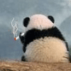 评论头像