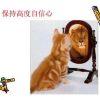 QQ111398头像
