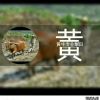 澳门网友48130