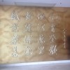 河南网友50873