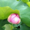 陕西网友82561