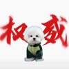 青海网友38348