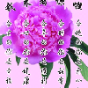 广东网友26767