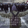 安徽网友14651