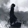 海南网友36701