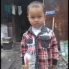 吉林网友45911