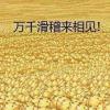 贵州网友11633