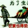 宁夏网友23865