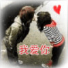 河南网友53699