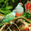 云南网友24445