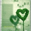 云南网友79764