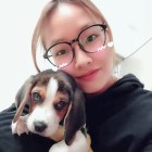 QQ头像