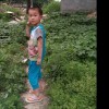 河南网友89503