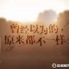 河北网友94948