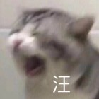 QQ头像