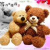 重庆网友83988