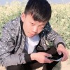 甘肃网友80679