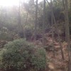 河南网友42540