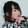 北京网友74378