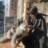 评论头像