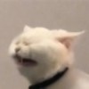 评论头像
