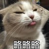 湖南网友11883