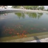 天津网友46831